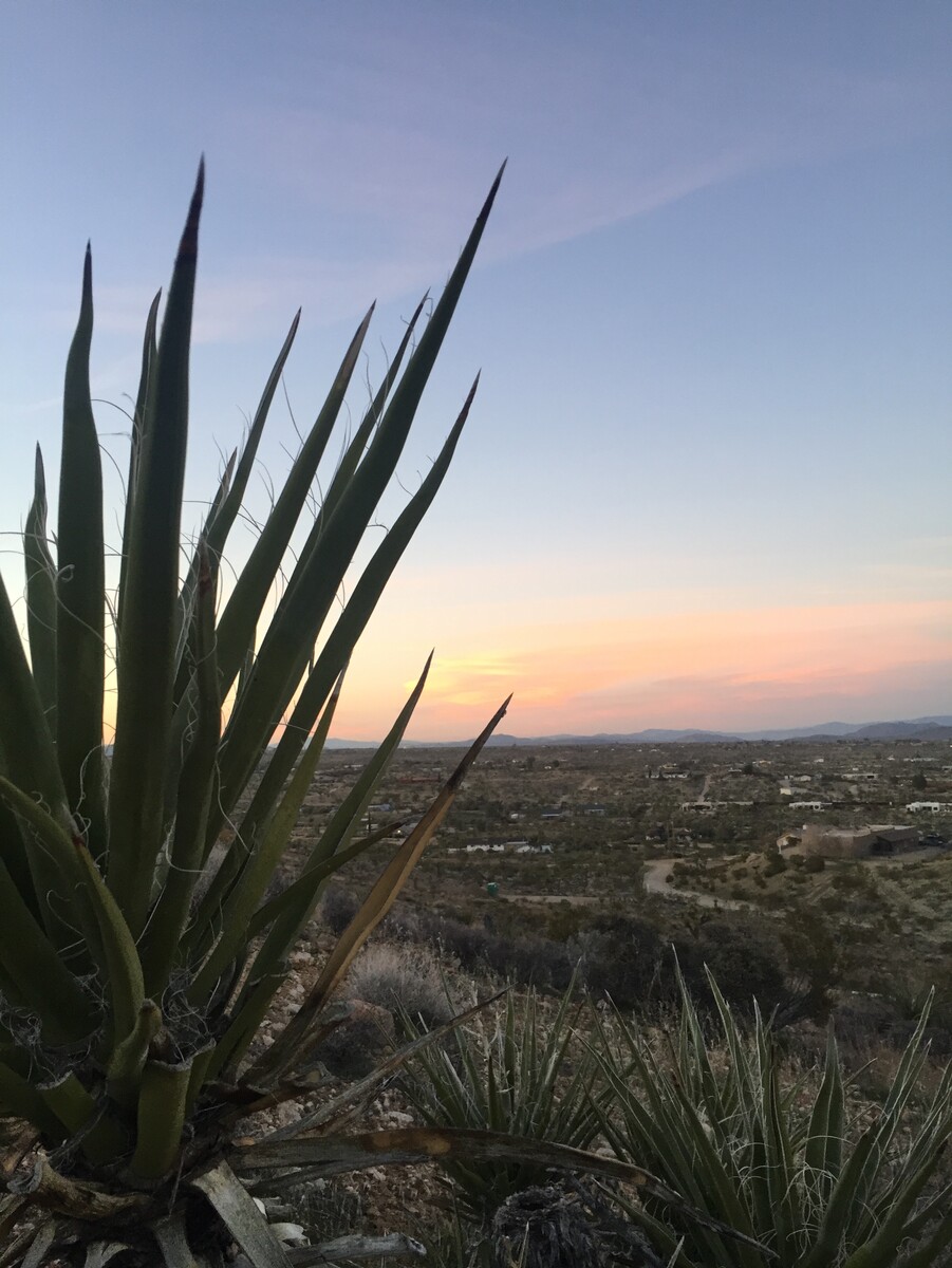 Sunset in Yucca Valley