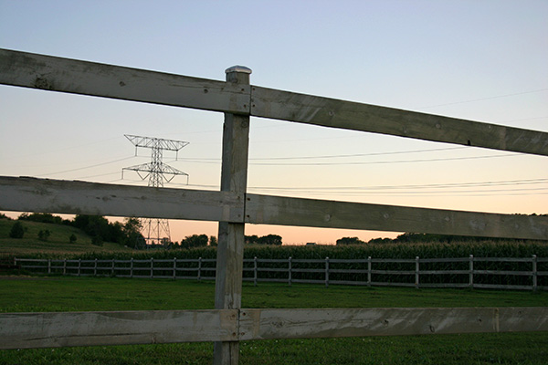 Fenced In