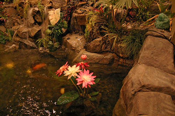 Indoor Pond Flowers