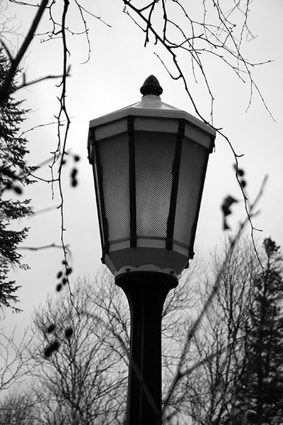 Narnia Light