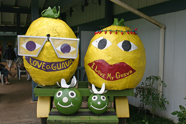 Guava Folk