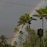 Rainbow in Town