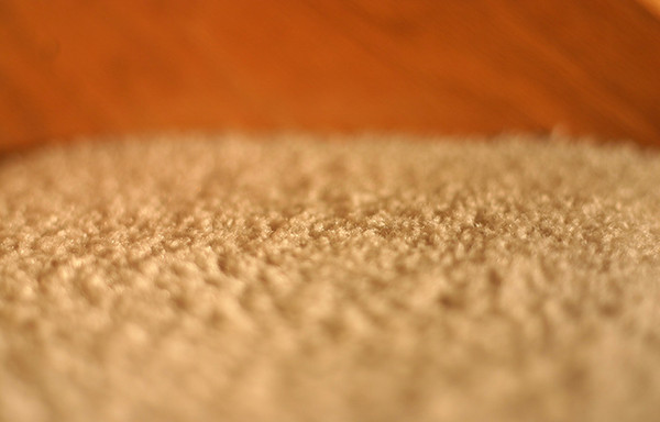 Carpet Depth of Field