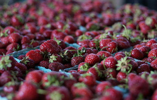 Farmers’ Market Strawberries