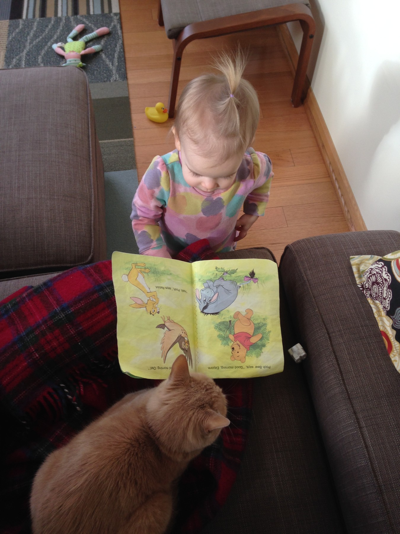 Reading to the Cat