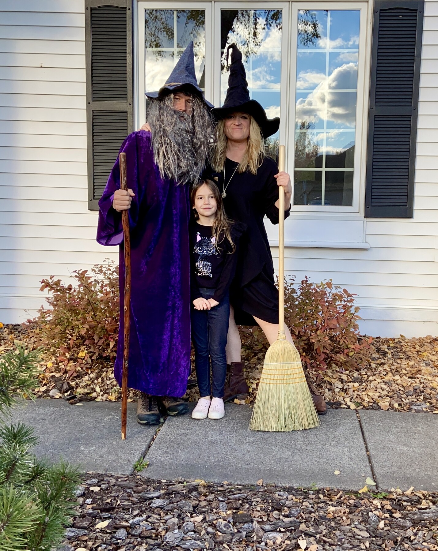 Wizard, Cat, Witch